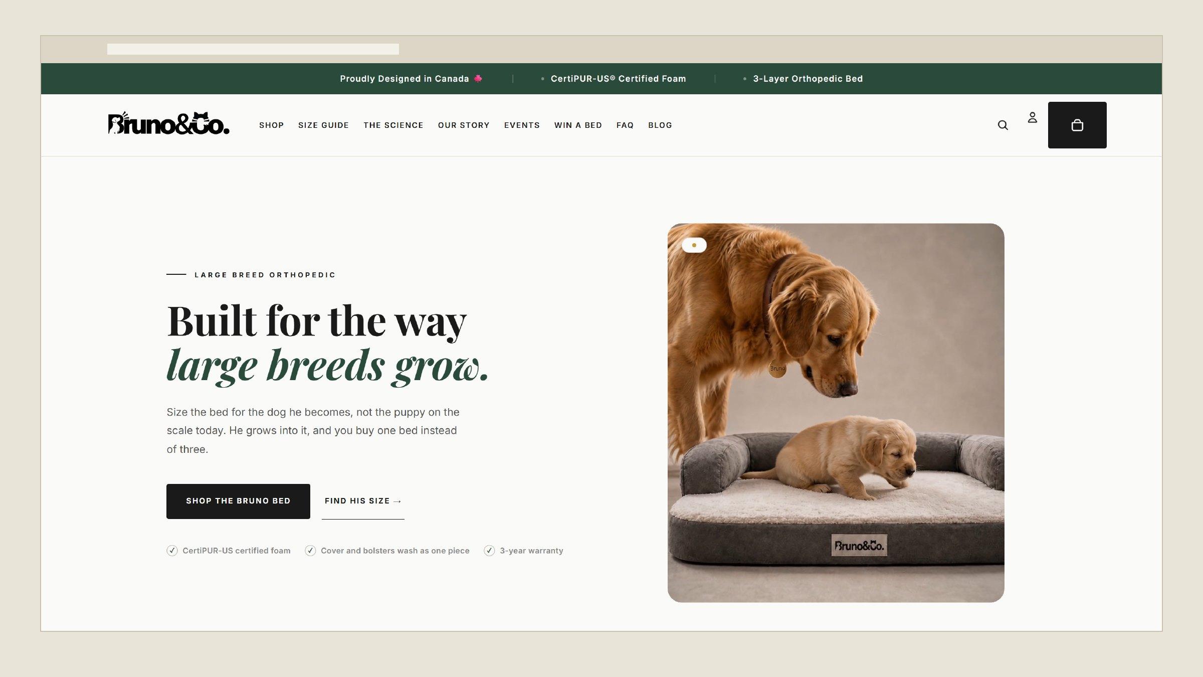Bruno & Co. storefront: the orthopedic dog bed range, shown with a golden retriever and puppy