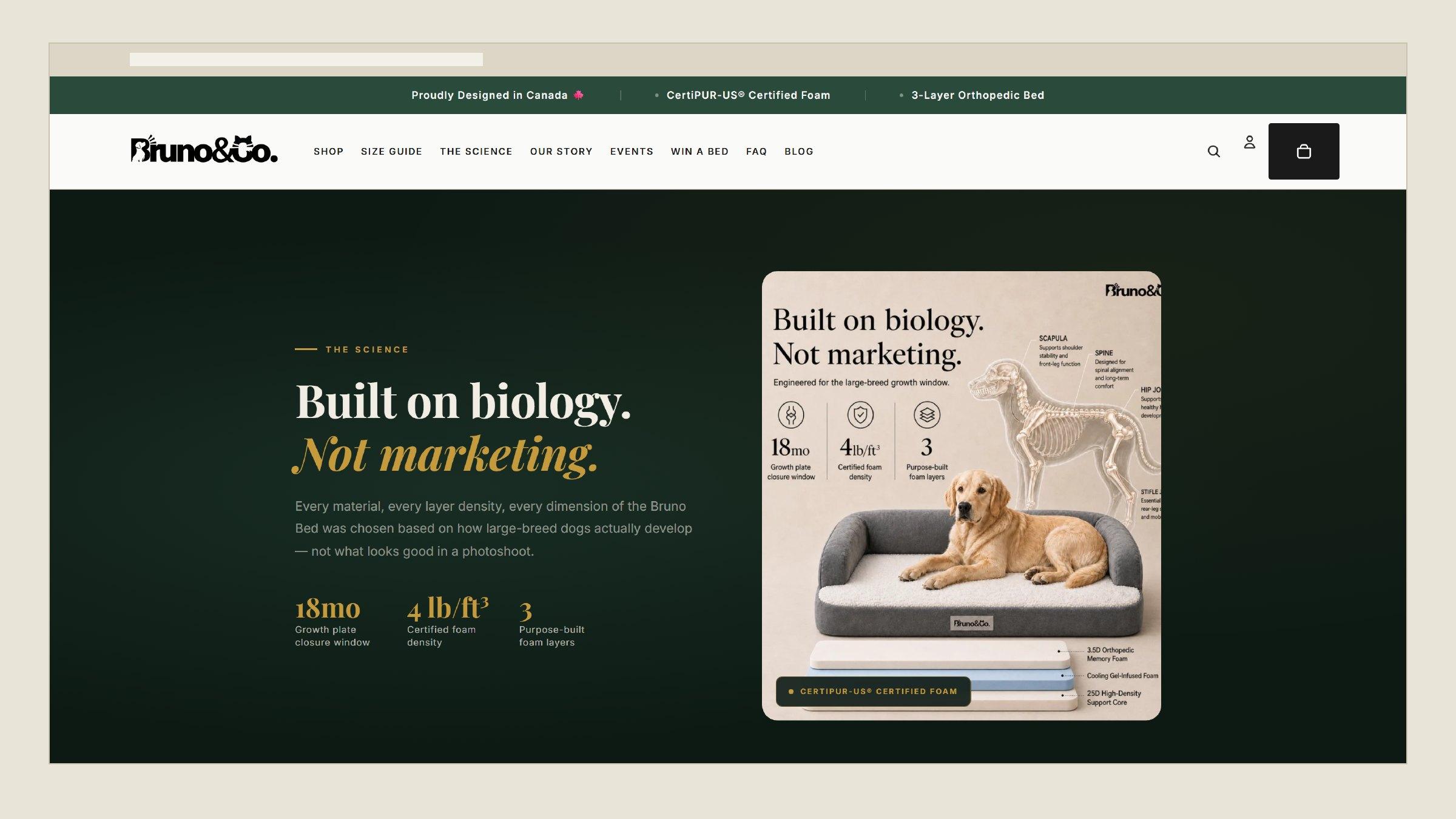 Bruno & Co. product education page on foam density and construction