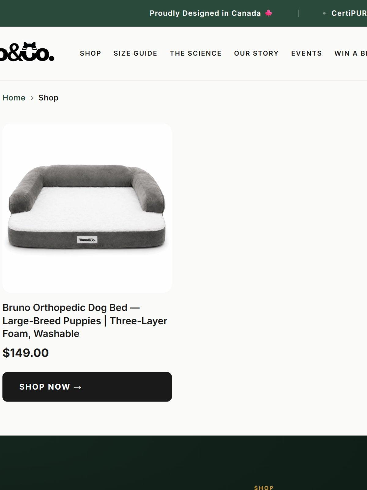 The Bruno & Co. product collection page